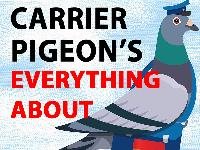 WHAT ARE THE CARRIER PIGEONS ?